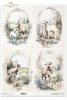 kozy, wiejskie zwierzęta, wiosenne klimaty, rustykalny styl*goats, countryside animals, springtime climate, rustic style*Ziegen, Tiere auf dem Lande, Frühlingsklima, rustikaler Stil*cabras, animales de campo, clima primaveral, estilo rústico